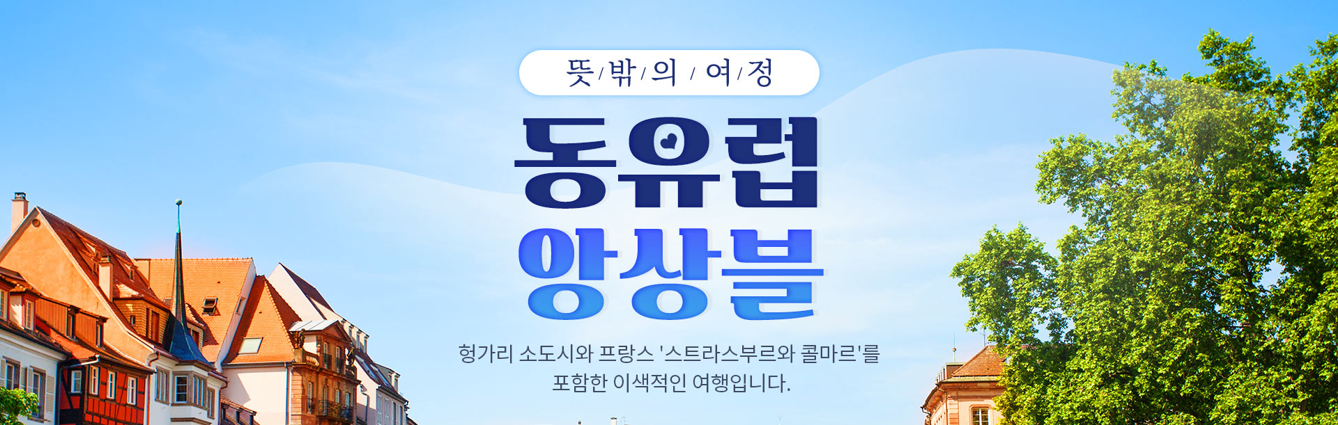 기획전 이미지