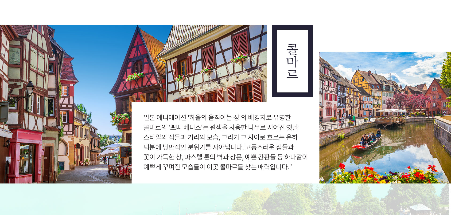 기획전 이미지