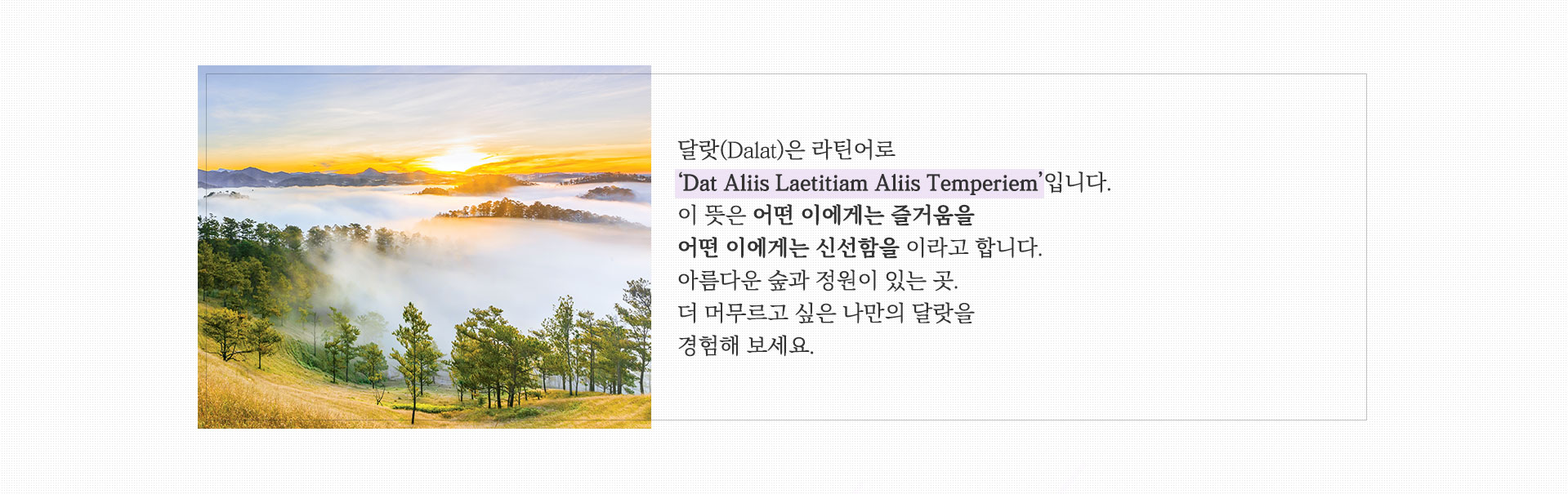 기획전 이미지
