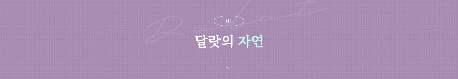 기획전 이미지