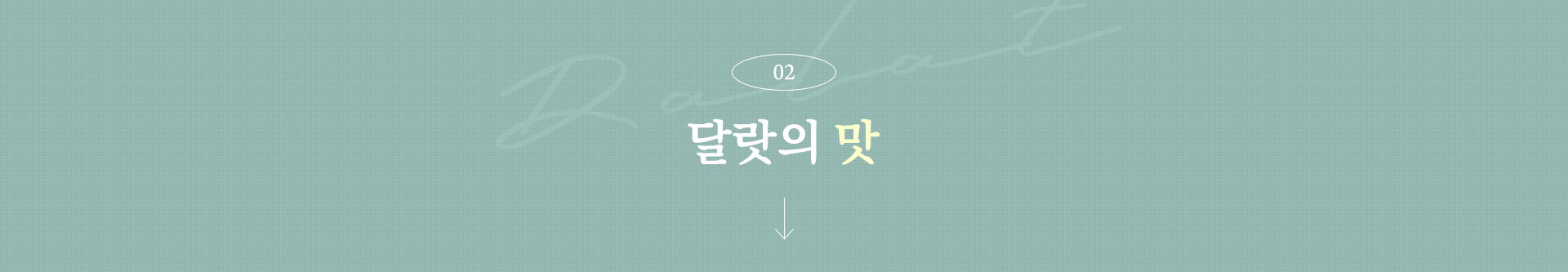 기획전 이미지