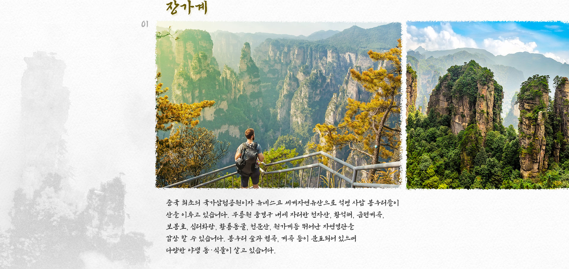 기획전 이미지