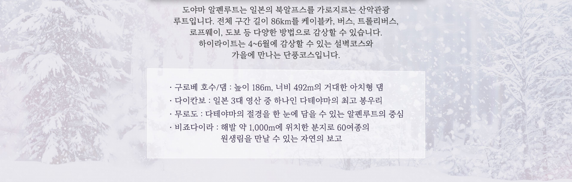 기획전 이미지