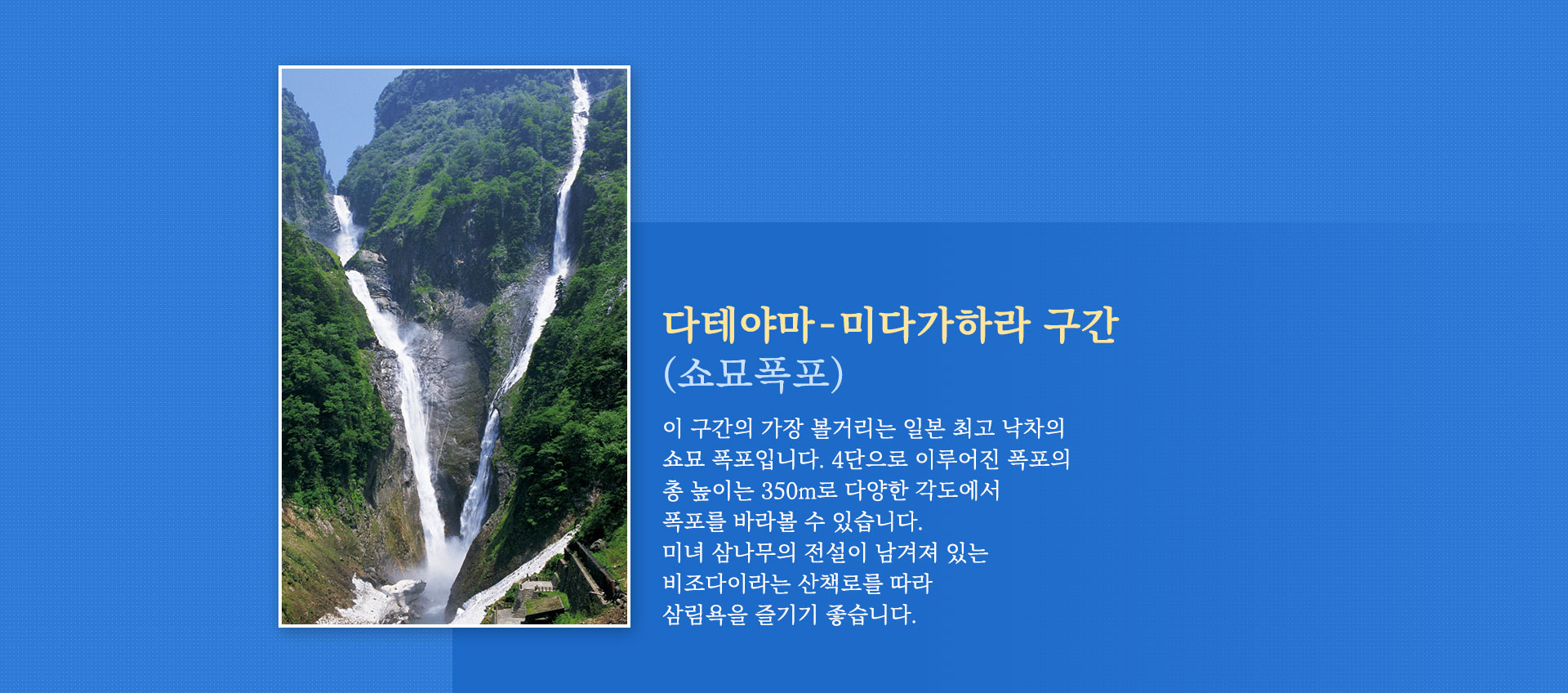 기획전 이미지