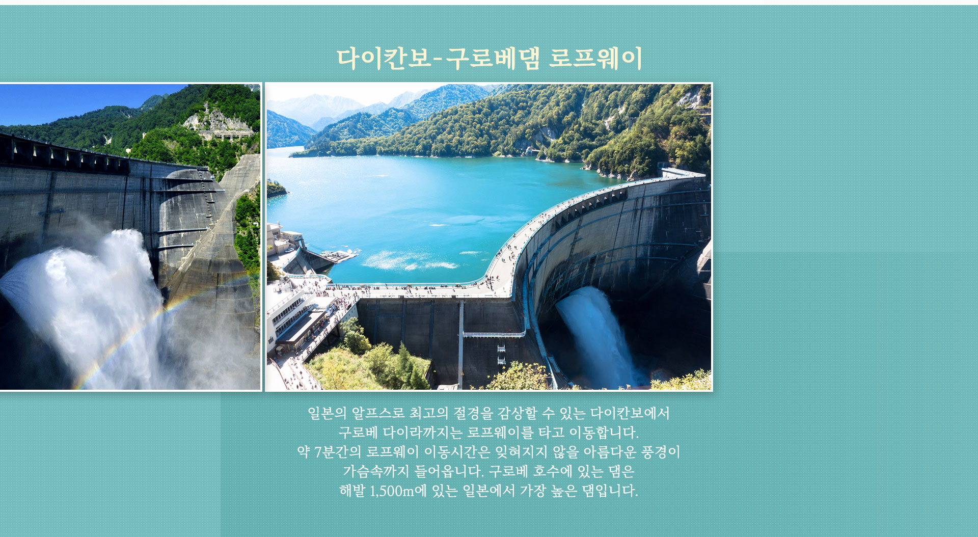 기획전 이미지