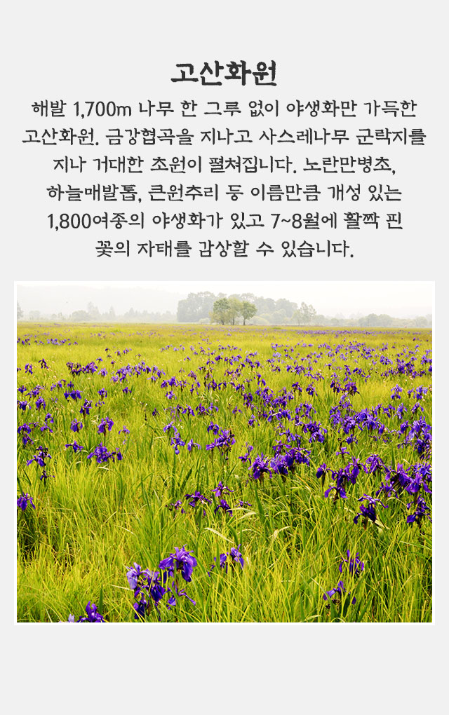 고산화원