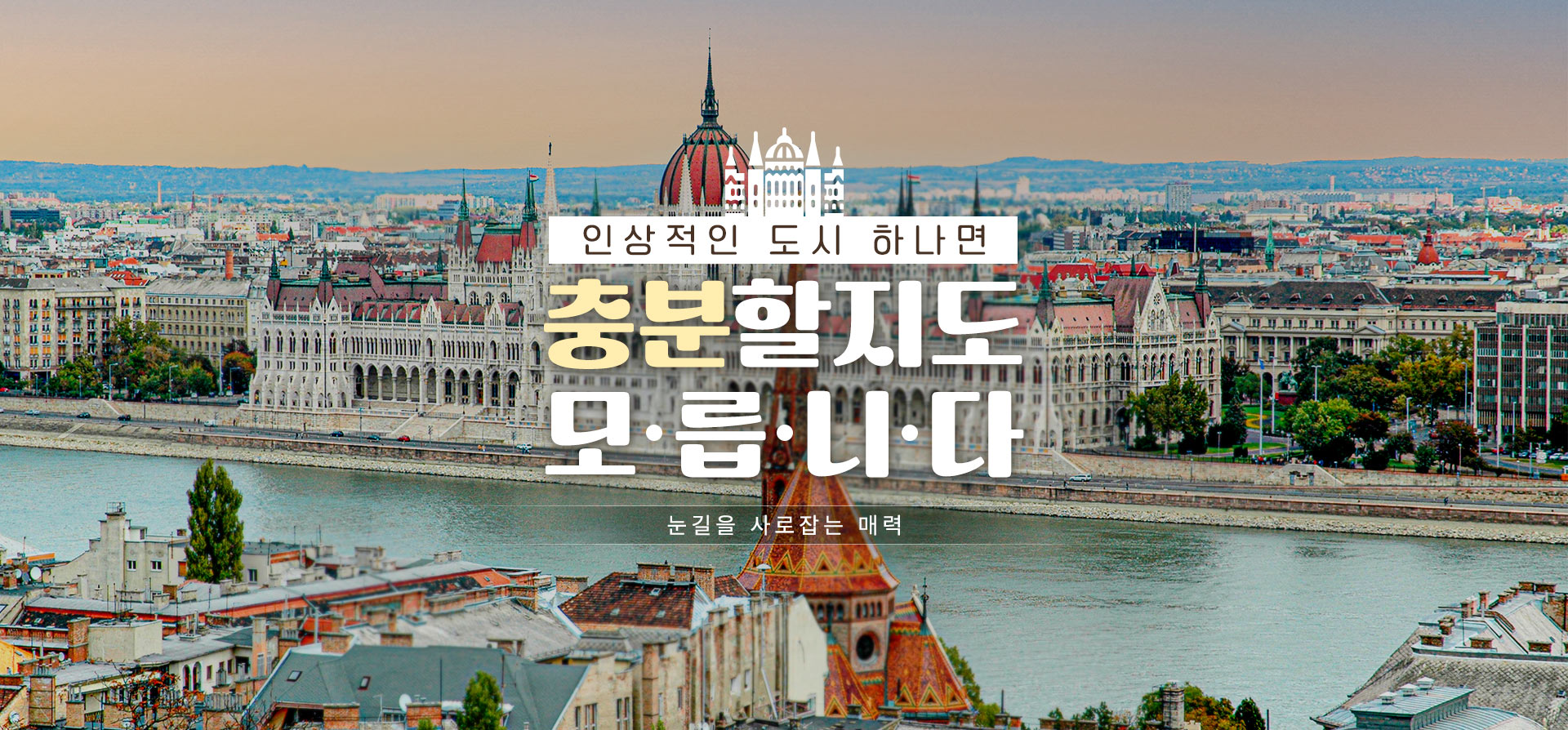 상단이미지