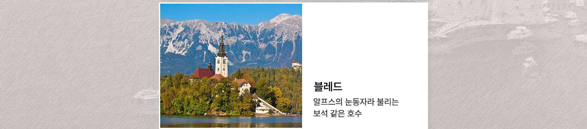 블레드