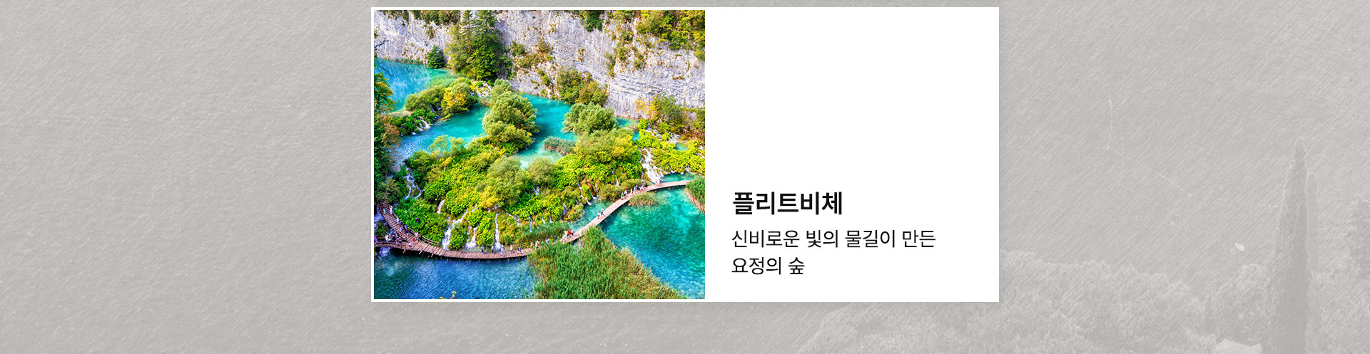 플리트비체