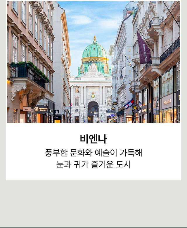 비엔나
