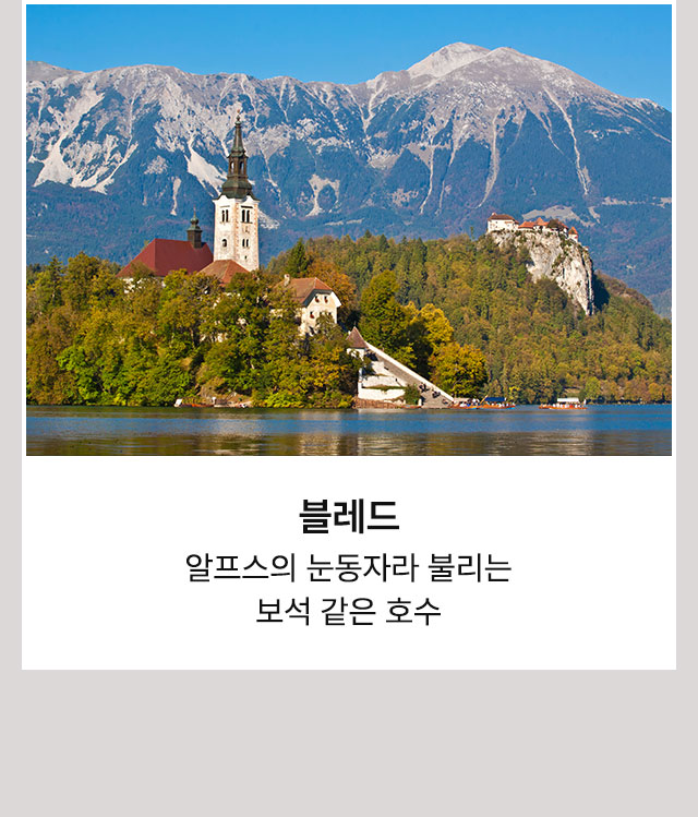 플리트비체