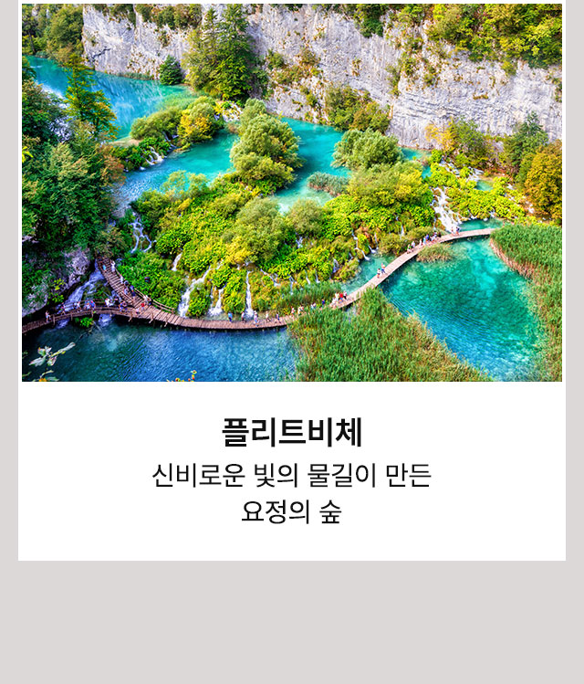 블레드
