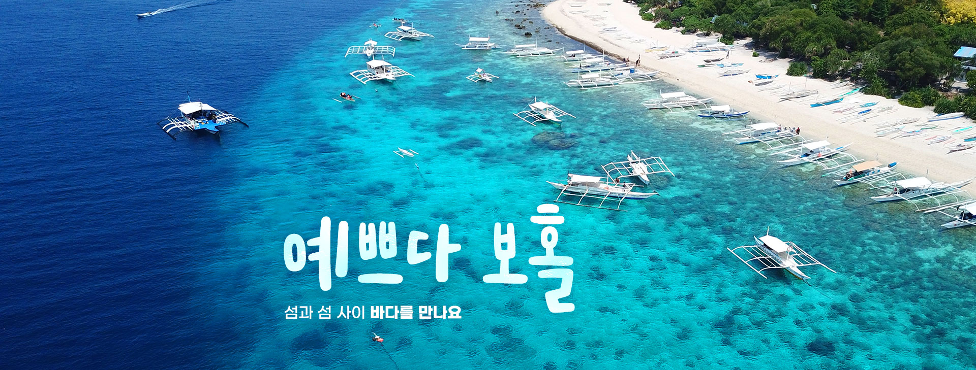 상단이미지