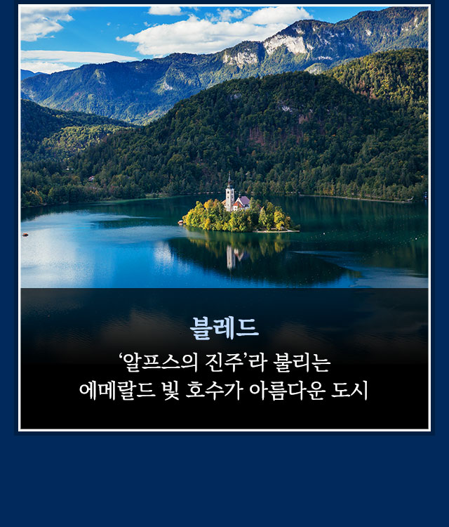 팜도미타