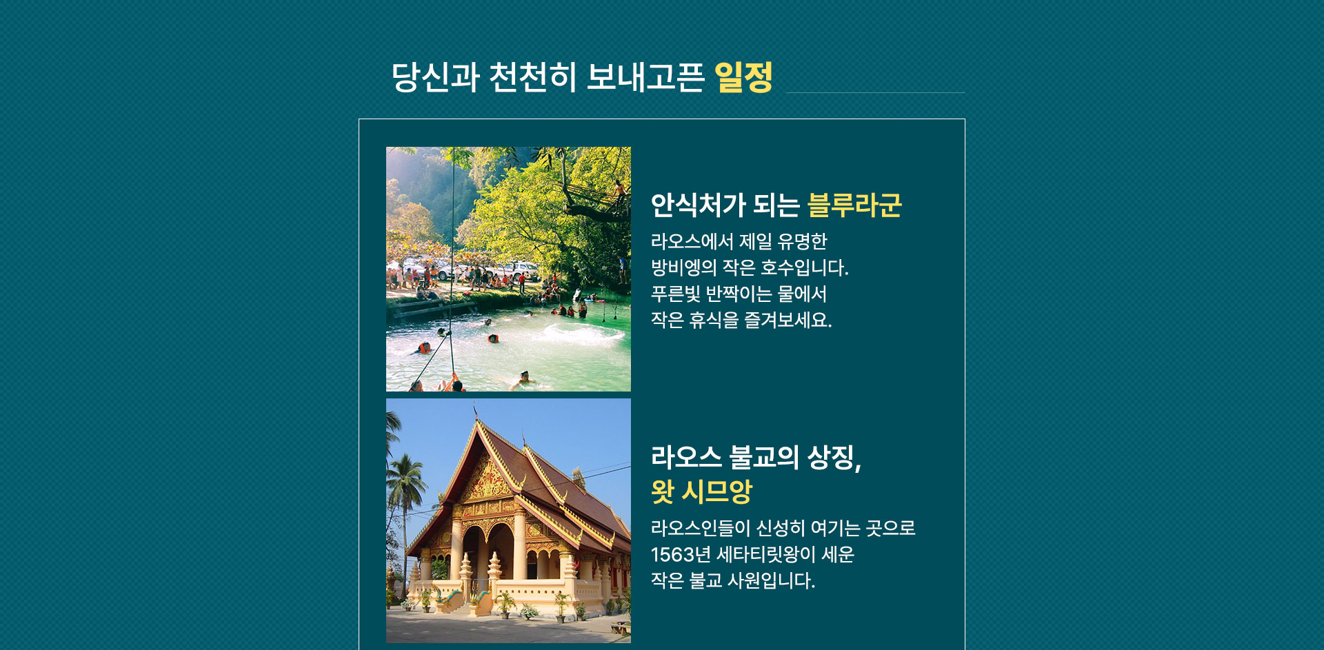 일정