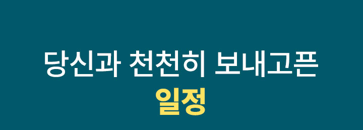 일정