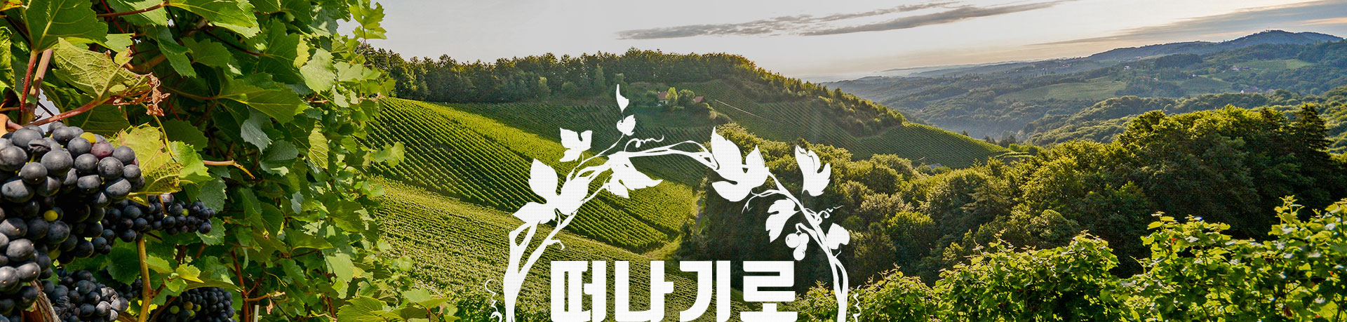 상단이미지