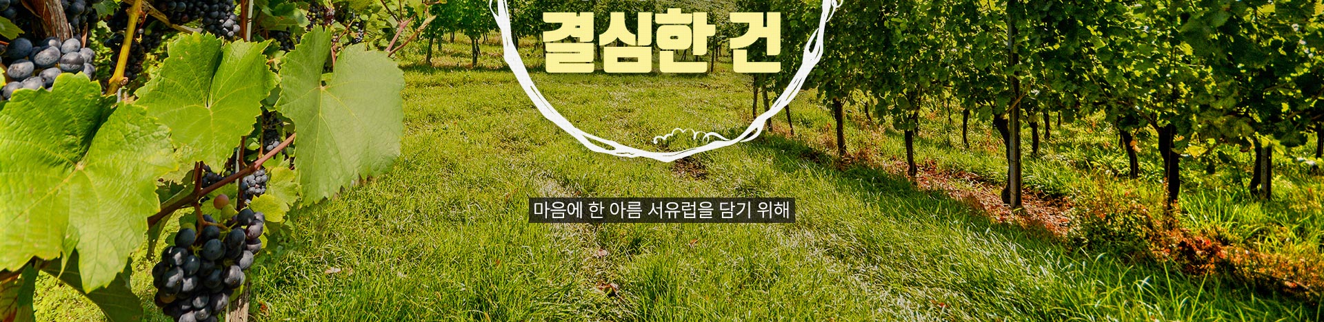 상단이미지