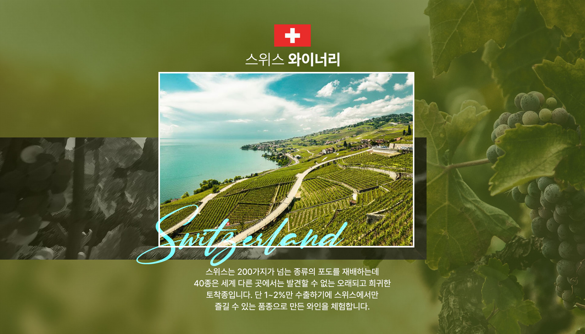 루앙프라방