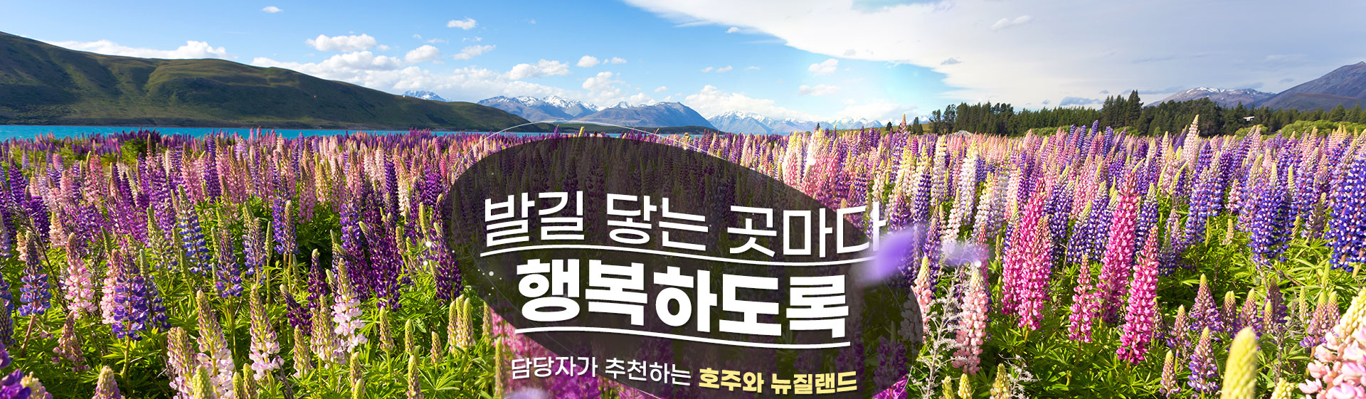 상단이미지