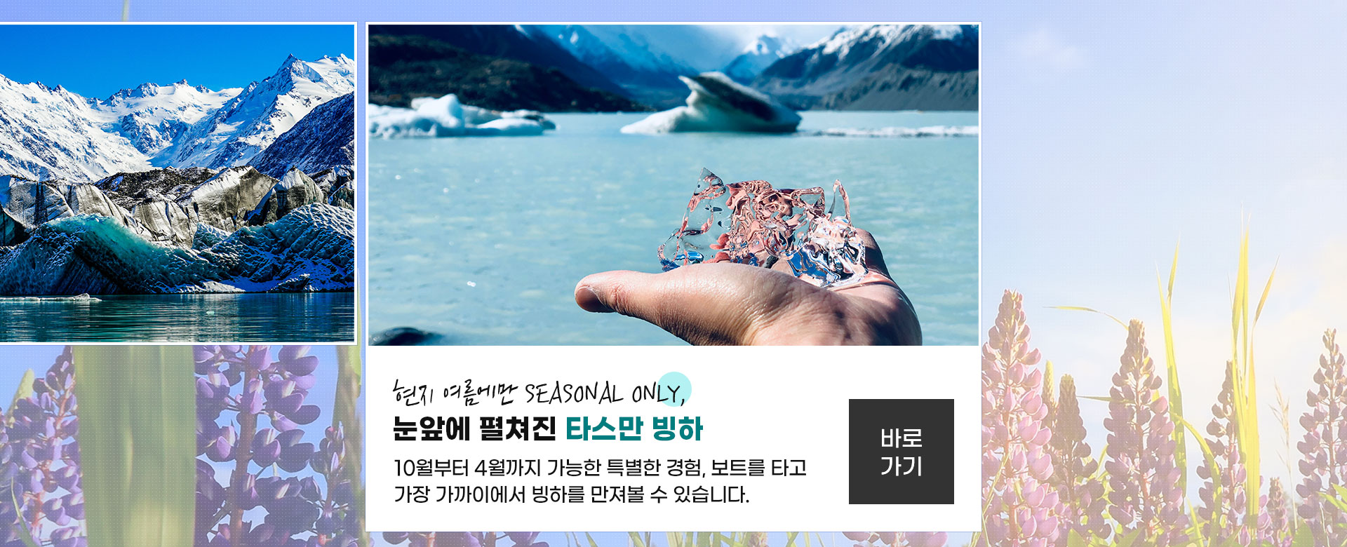 타스만빙하