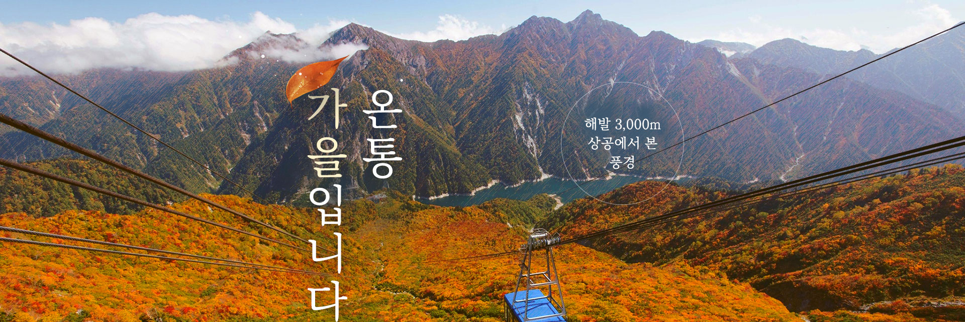 상단이미지