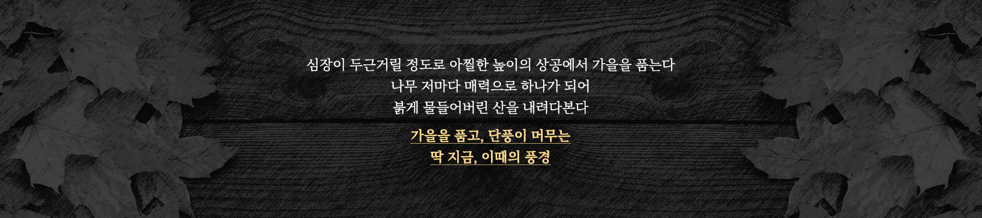 인트로