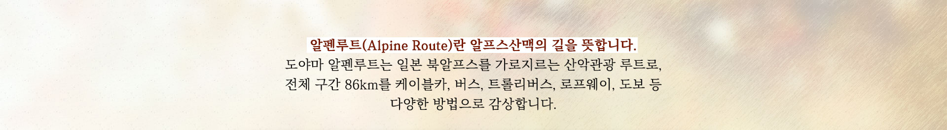 알펜루트뜻