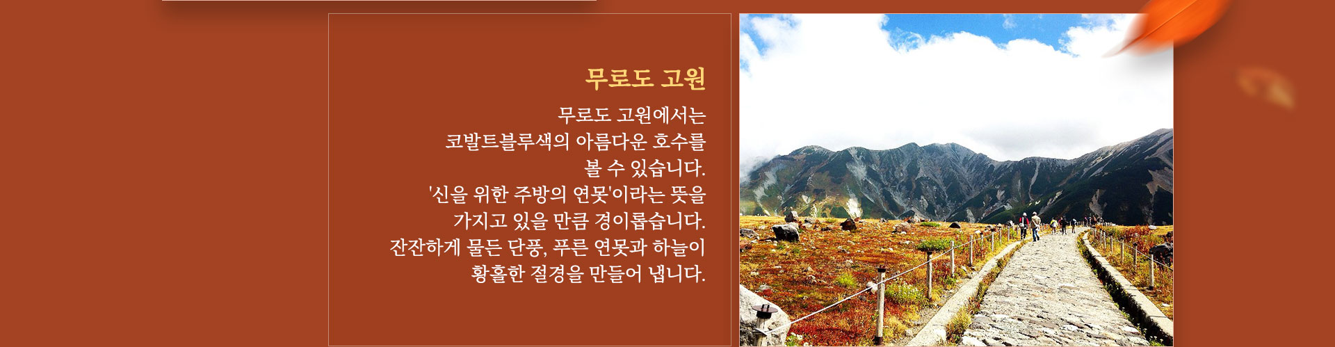 알펜루트들여다보기