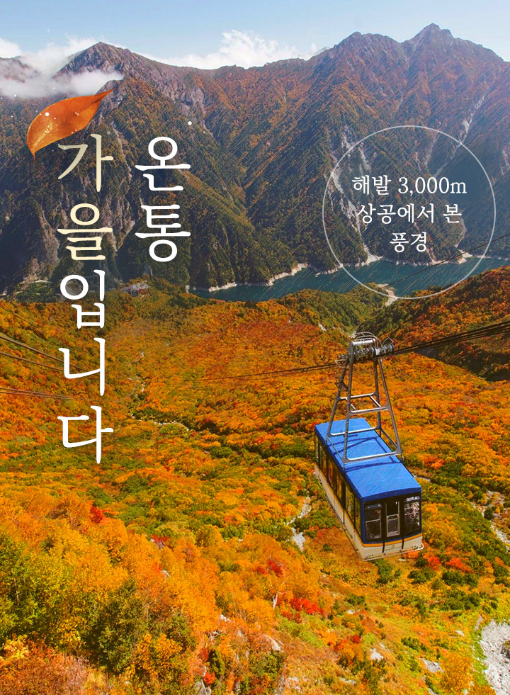 상단