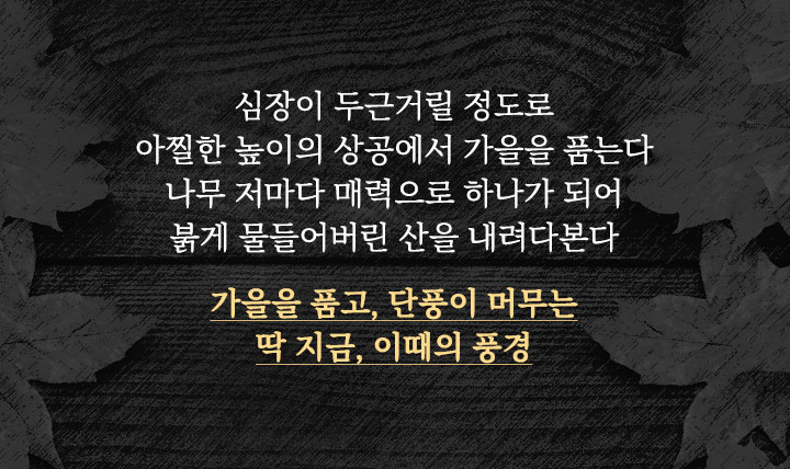 인트로