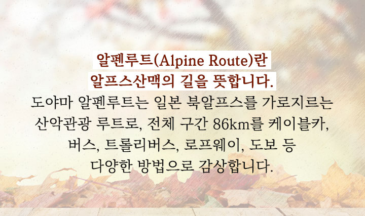 알펜루트설명
