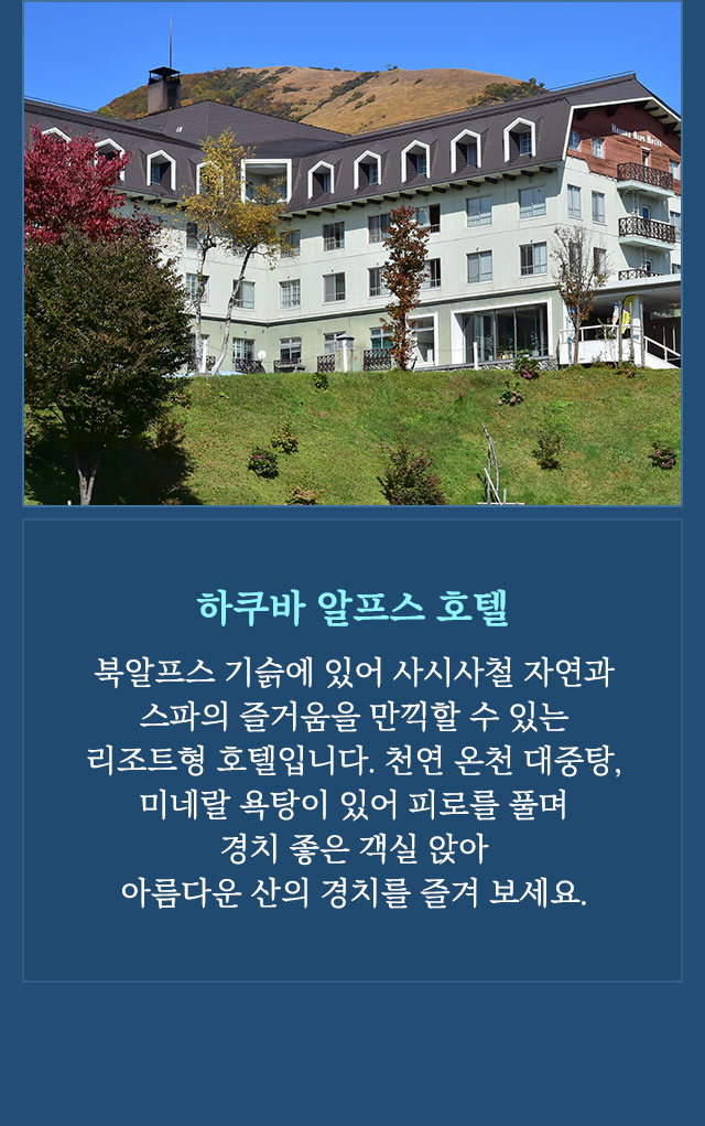 하쿠바알프스호텔