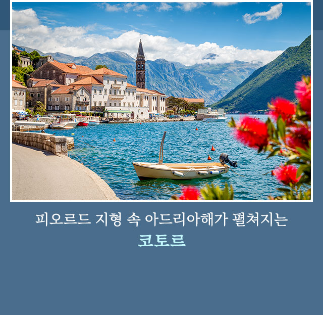 코토르