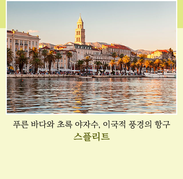 스플리트