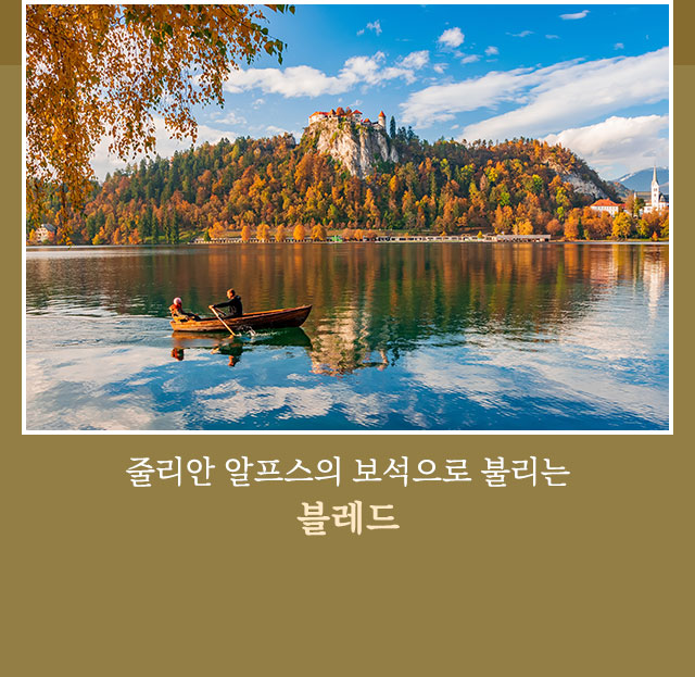 블레드