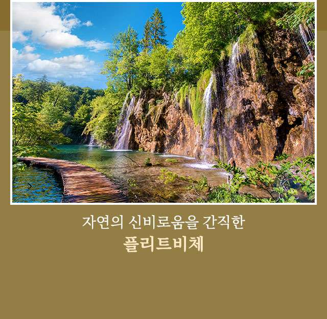 플리트비체