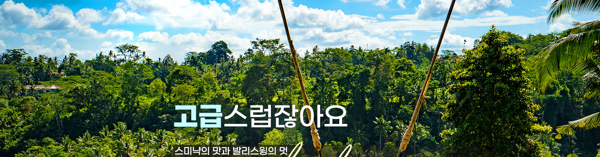 상단이미지