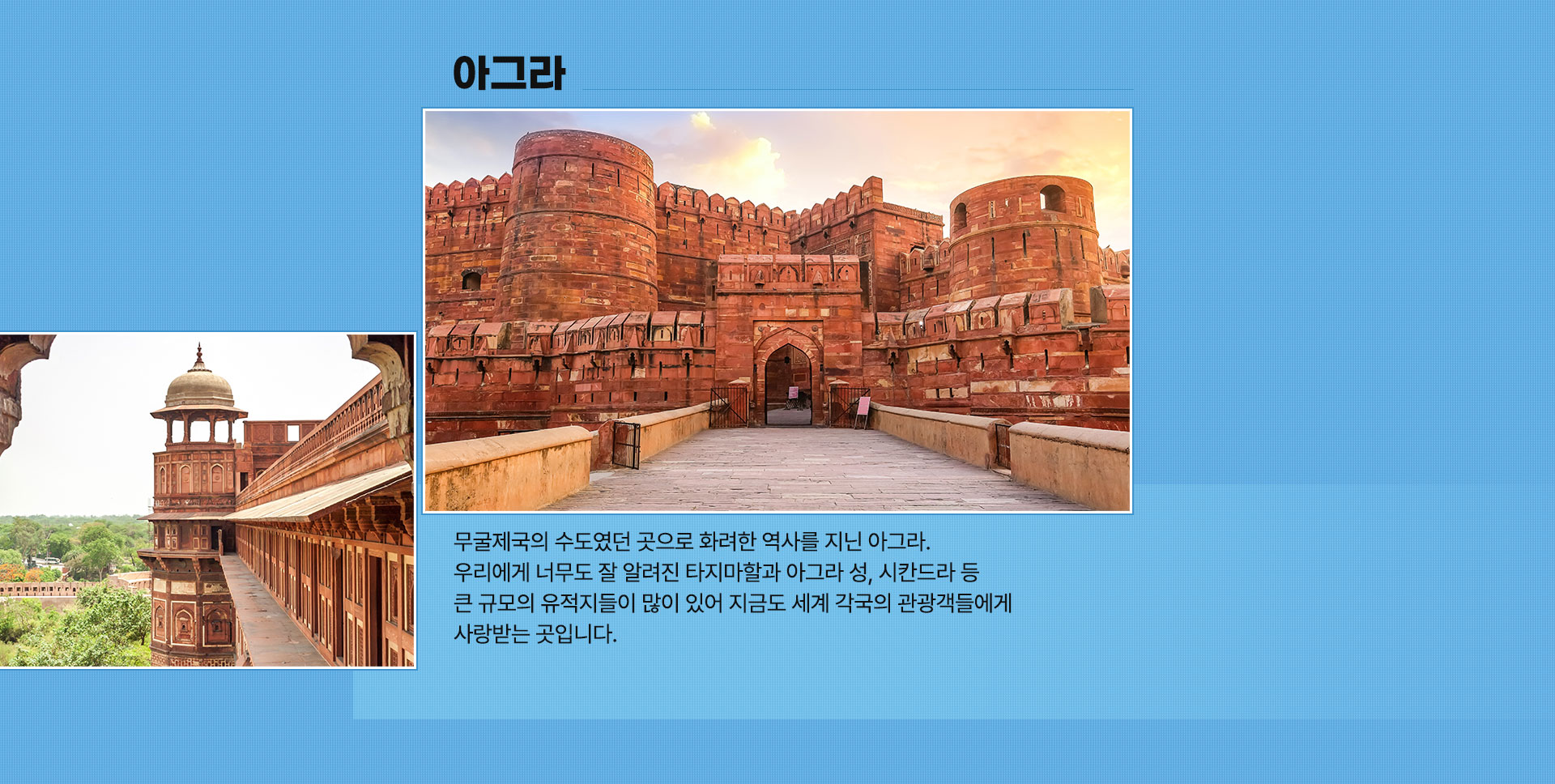 아그라