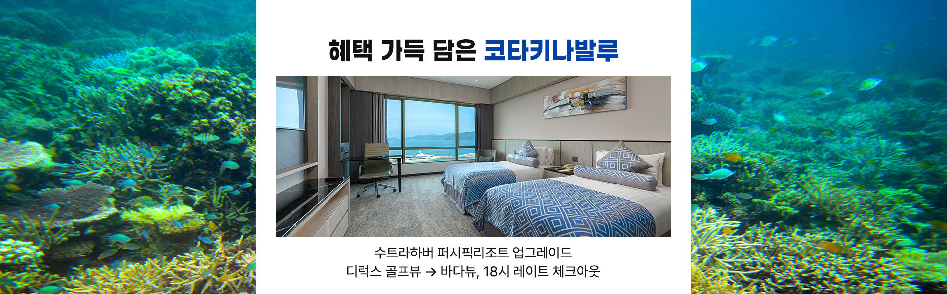 셀링포인트
