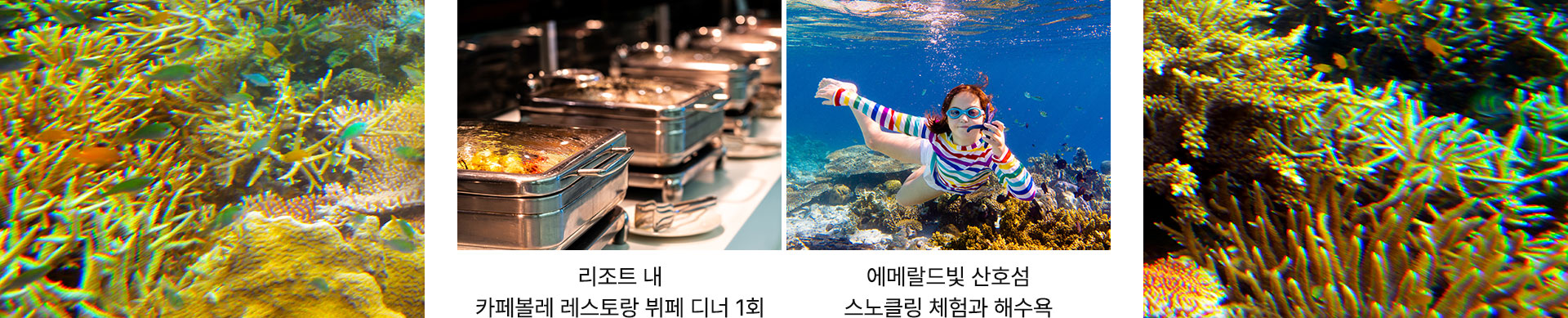 셀링포인트