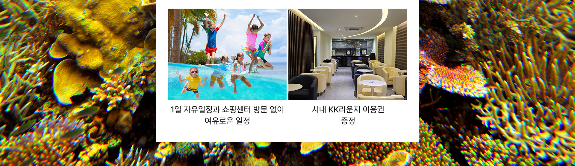 셀링포인트