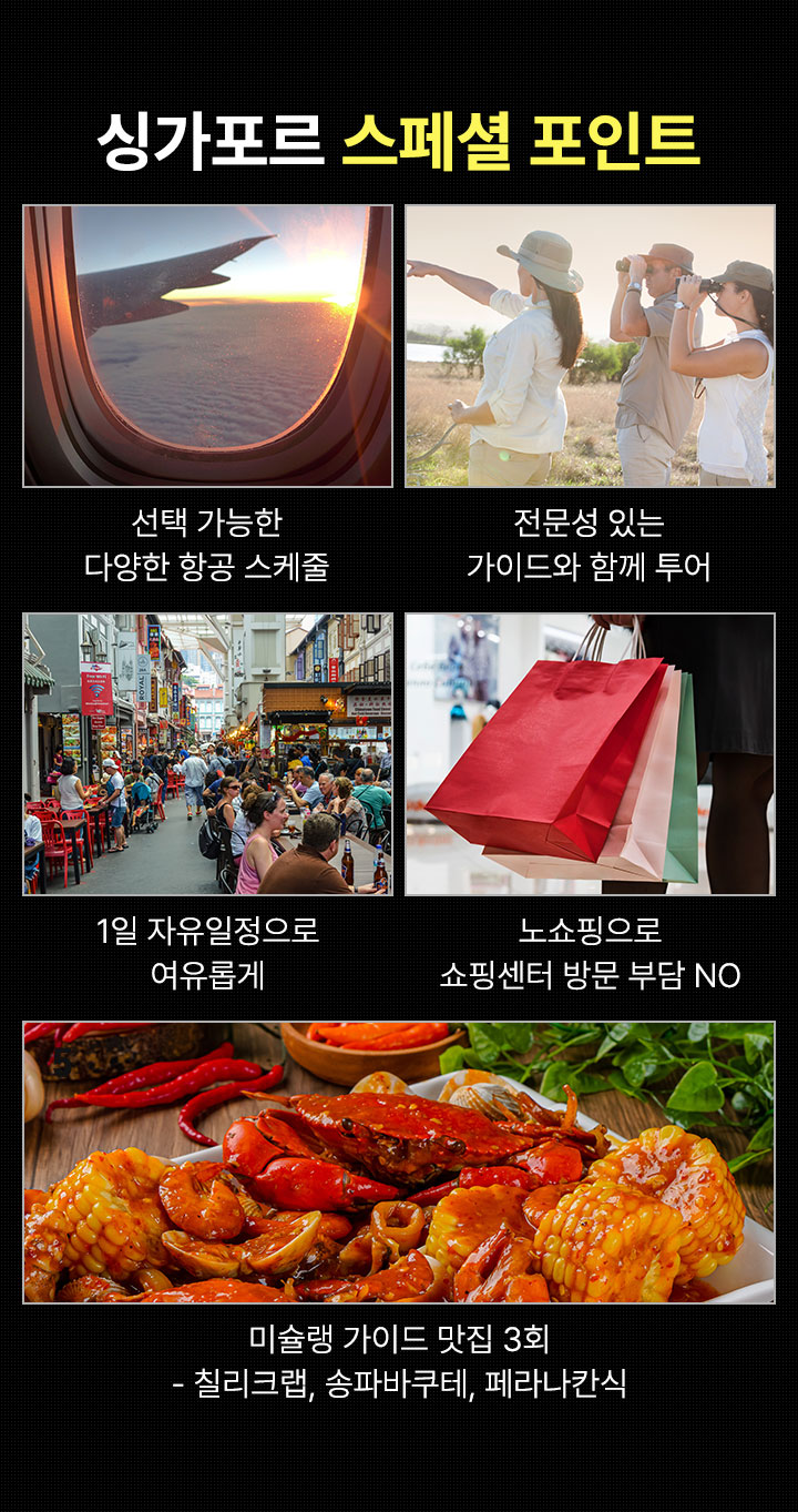 포인트