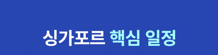 일정