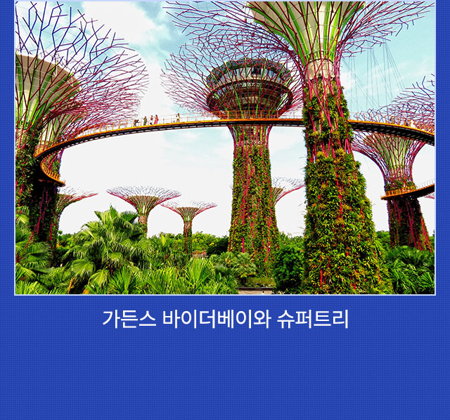일정