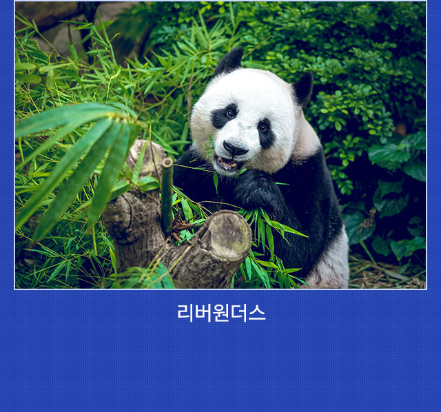 일정
