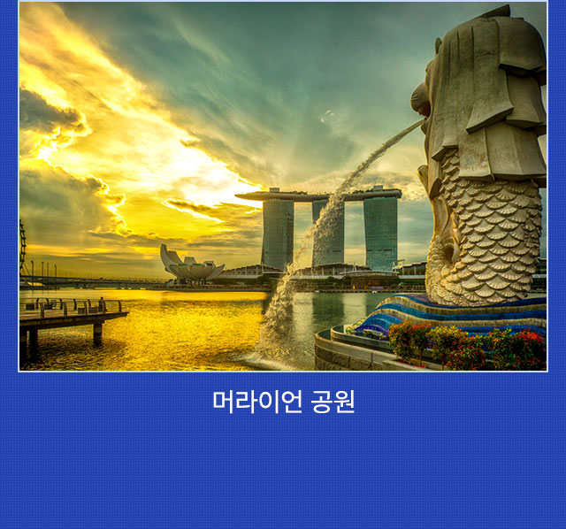 일정