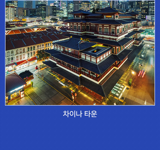 일정