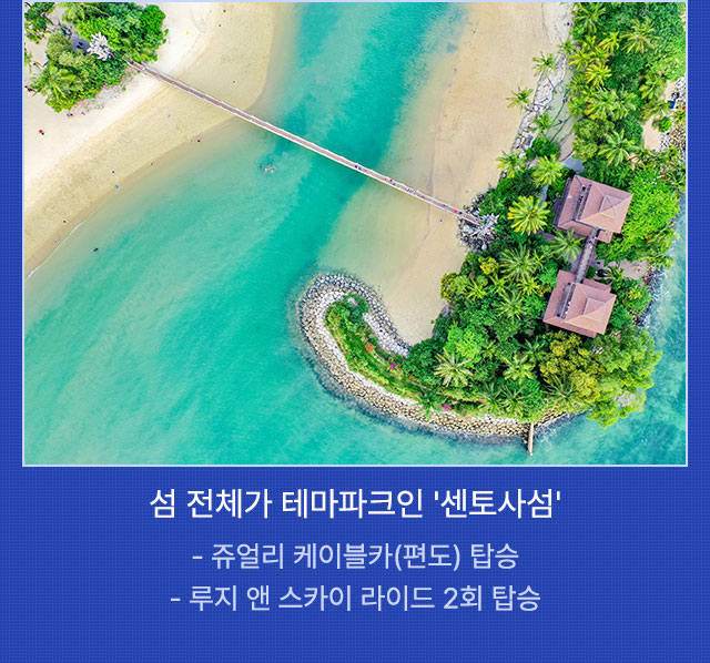 일정