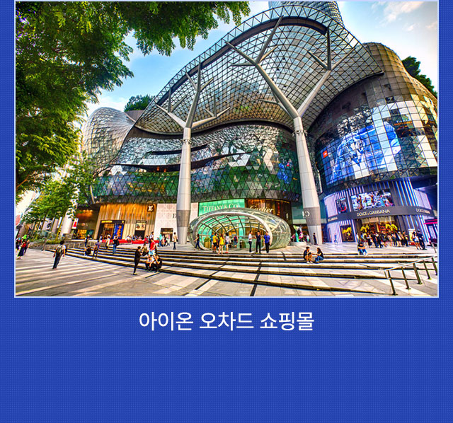 일정